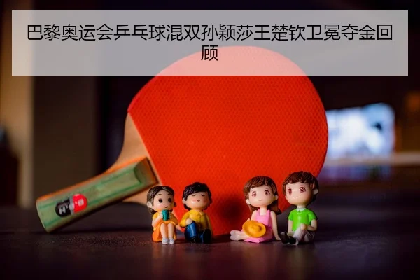 ba-li-ao-yun-hui-ping-pang-qiu-hun-shuang-sun-ying-sha-wang-chu-qin-wei-mian-duo-jin-hui-gu-2-824.jpg